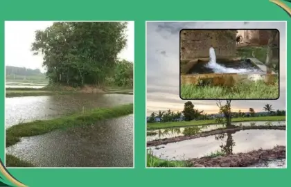बारिश के बाद खेत से पानी निकालने के आसान तरीके | किसानों के लिए गाइड