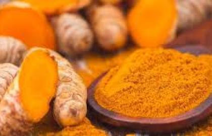 हळदीची शेती | लागवड ते काढणी मार्गदर्शन | Turmeric Cultivation Marathi