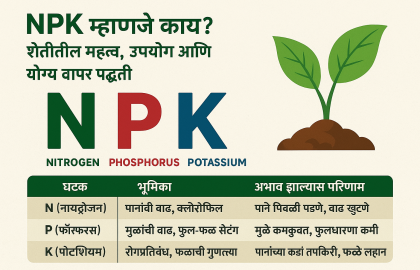 NPK खत म्हणजे काय | शेतीतील NPK खताचे महत्त्व | NPK Fertilizer Marathi